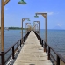 kimabajo_v_0135_sul2282.jpg